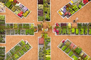 a-luchtfoto-vaste-planten