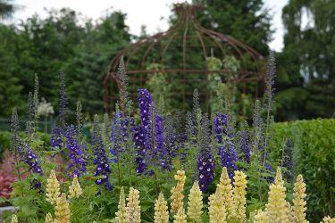 borderplanten-kwekerij