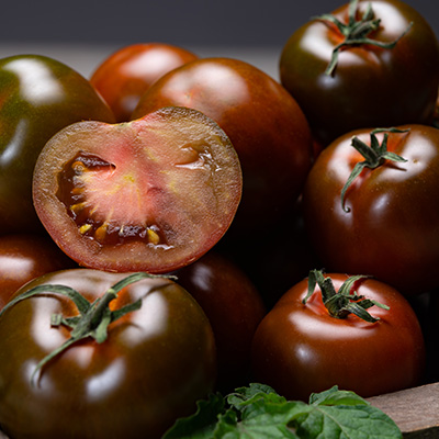 tomaat-chocolade tomaat (Solanum-lycopersicum-Kakao-F1)
