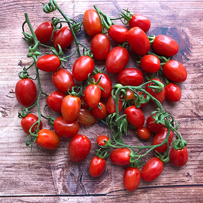 tomaat-pruim-cherrytomaat (Solanum-lycopersicum-Mirado®-Red-F1-Mini-Star)