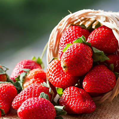 aardbei (Fragaria x ananassa var. Cirafine)