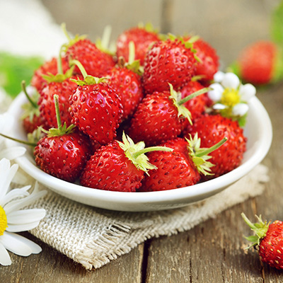 bosaardbei (Fragaria vesca var. Alexandria)