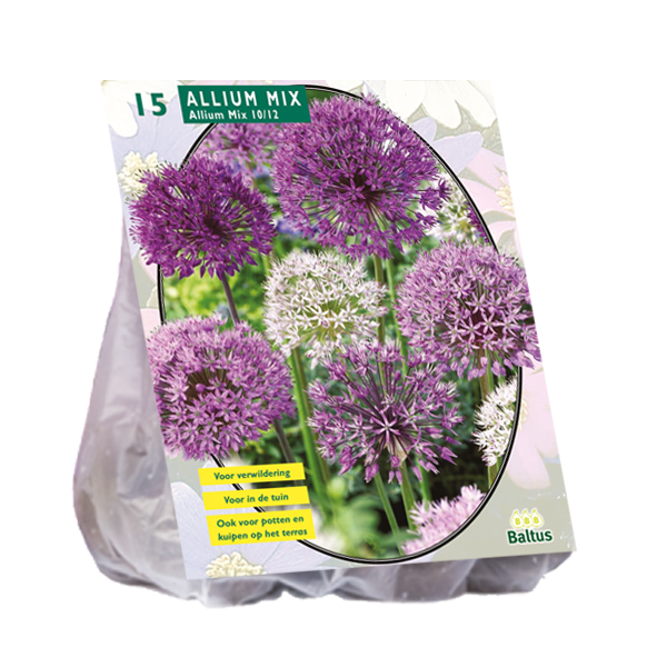 Allium Mix Paars-Wit per 15