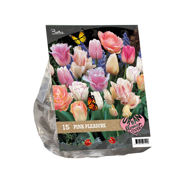 Mix - Urban Flowers - Pink pleasure per 15