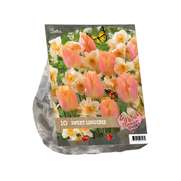 Mix - Urban Flowers - Sweet lingery per 10