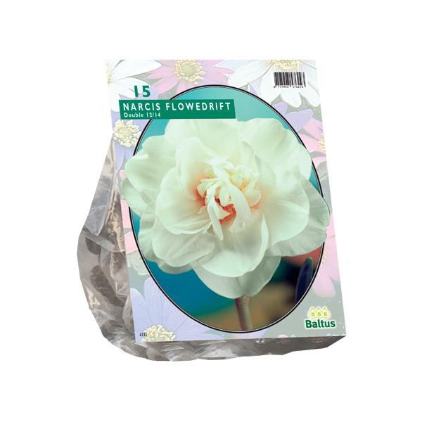 Narcis Flower Drift per 15