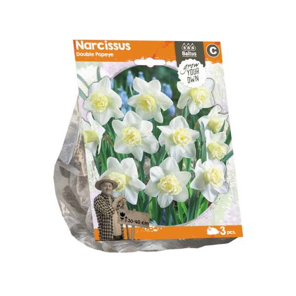 Narcissus Double Popeye (Sp) per 3