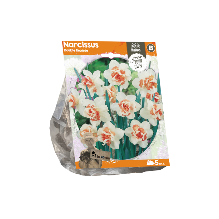 Narcissus Double Replete (Sp) per 5