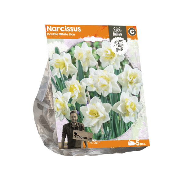 Narcissus Double White Lion (Sp) per 5