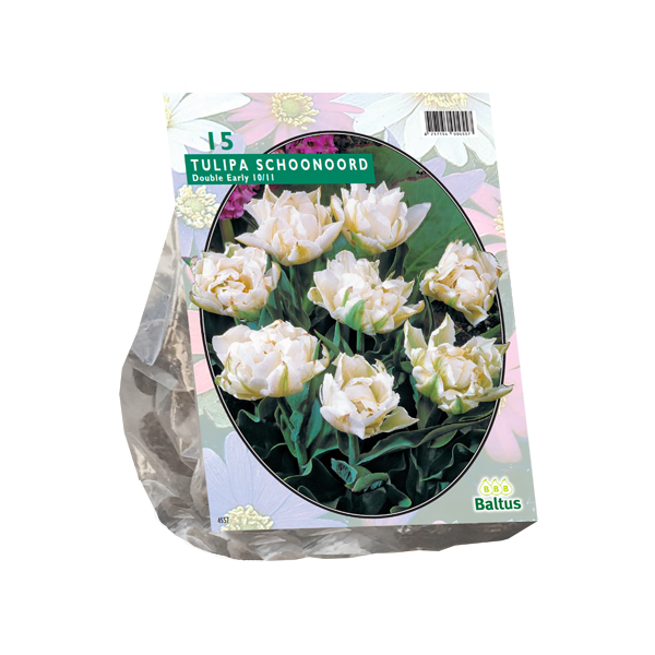 Tulipa Dubbel Vroeg White Valley per 15