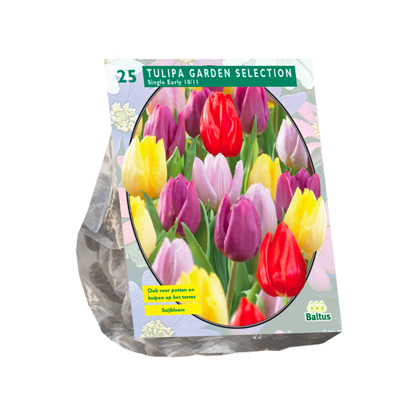 Tulipa Garden Selection per 25