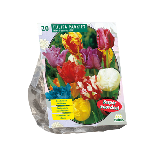 Tulipa Parkiet Mix per 20