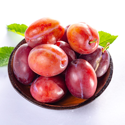 pruim-struik-(Prunus-domestica-Victoria)