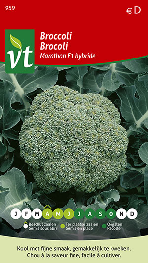 broccoli Top selectie (Marathon F1 hybride)