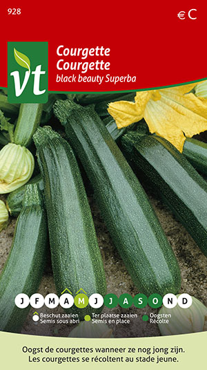 courgette (Black beauty Superba)