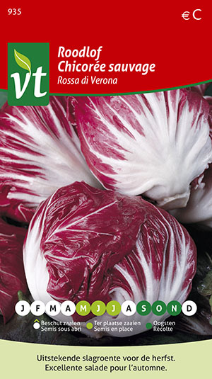 roodlof Radicchio herfst (Rossa di Verona)