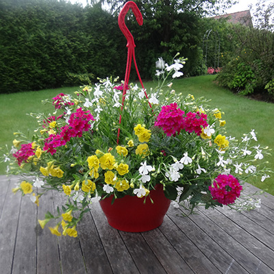 hangpot met zomerbloeiers