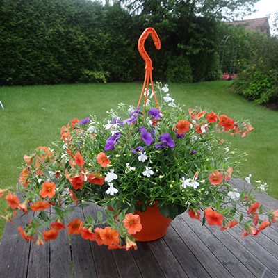 hangpot met zomerbloeiers