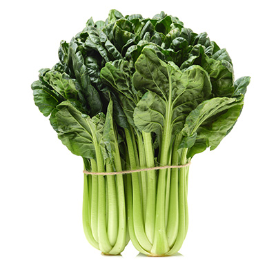 chinese kool / Tatsoi (Brassica-rapa-pekinensis)