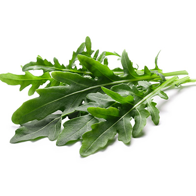 raketsla / rucola (Eruca-sativa)