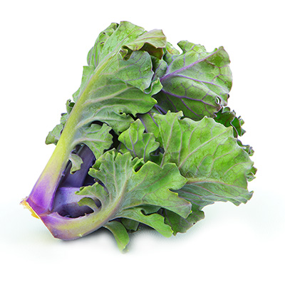 flower sprout (Brassica-oleracea-Flower-Sprout)