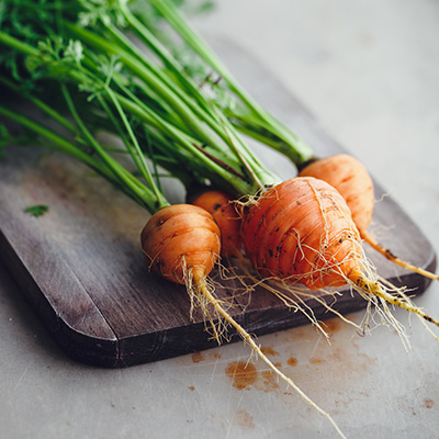 parijse wortel (Daucus-carota)