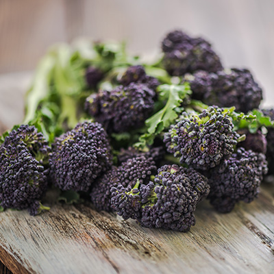 spruitbroccoli (Brassica-oleracea-var.-italica)