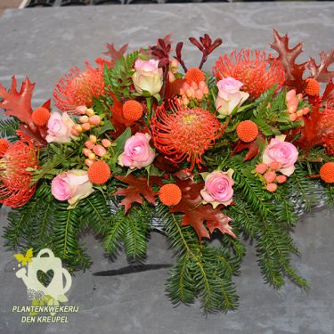 bloemstuk-protea