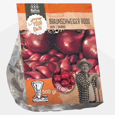 plant poot anjuin (Uien-Braunschweiger-Rood-per-500-gram)