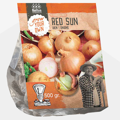 plant poot anjuin (Uien-Red-Sun-per-500-gram)