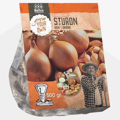 plant poot anjuin (Uien-Sturon-per-500-gram)