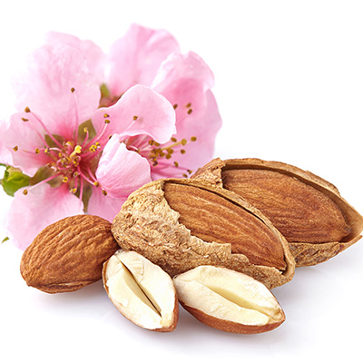 dwerg amandelboom (Prunus-dulcis-Fruit-Me-Almond-(Avijor)