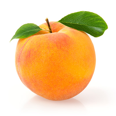 dwerg perzikboom (Prunus-persica-Fruit-Me-Peach-Me-Yellow-(Romea)