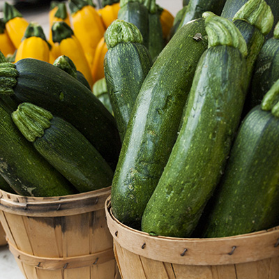 courgette-groen-(Cucurbita-pepo)