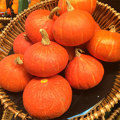 tsunami Beurs Occlusie pompoen-japanse-kleine-rode-(Cucurbita-maxima-var.-Redf-Kuri) - Tuinplanten  DEN KREUPEL