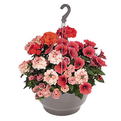 hangpot-met-zomerbloeiers-(Confetti-Garden-Party-Orange-Lights)