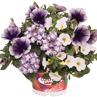 Petunia-Verbena-Calibrachoa-Mix-(Confetti-Garden-Tone-on-Tone-Blue-Bird)