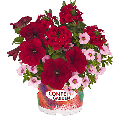 Petunia-Verbena-Calibrachoa-Mix-(Confetti-Garden-Tone-on-Tone-Rockin-Red-)