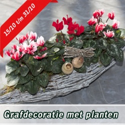 grafdecoratie