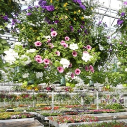 hangzakken-met-bloemen-26