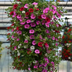 hangzakken-met-bloemen-8
