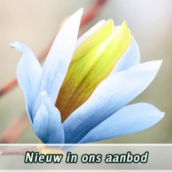nieuw-in_ons_aanbod