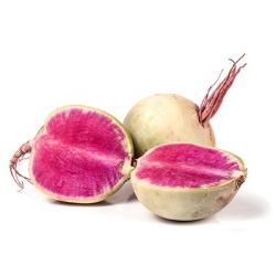 radijs-red-meat--watermeloenradijs-raphanus-sativus-var-sativus