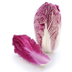 rode-chinese-kool-brassica-rapa-var-pekinensis