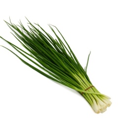 stengeluit-allium-fistulosum