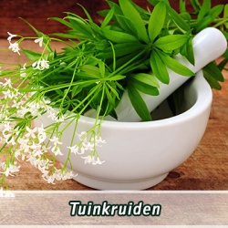 tuinkruiden