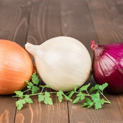 ui-mix-allium-cepa