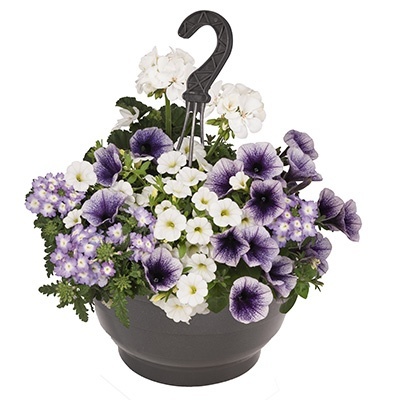hangpot-mix-met-zomerbloeiers-confetti-garden-party-blue-bird-lights