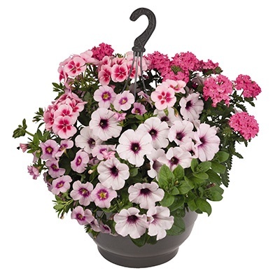 hangpot-mix-met-zomerbloeiers-confetti-garden-party-girly-lights