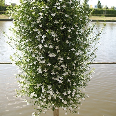 hangzakken-met-bloemen-37